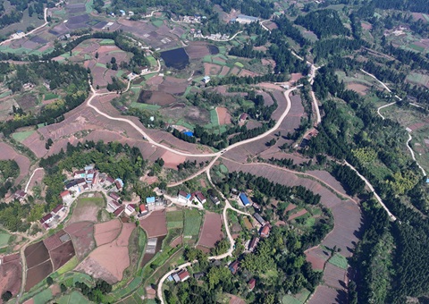 内江市东兴区局周全做好耕地保唬；；；；；； 全力做好用地包管