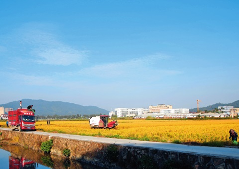 瞭望｜广东：“耕”出新动能 “连”出好景物