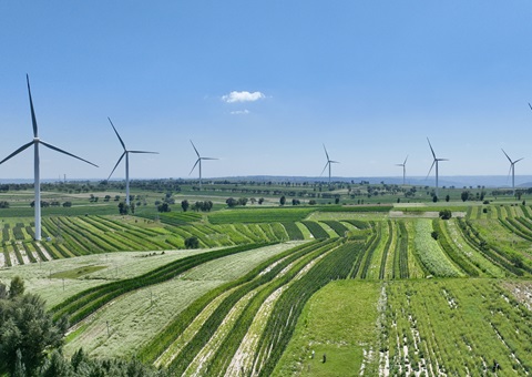 陕西省榆林市定边县：领土空间妄想“一张图”实现营业“一站式”高效办理
