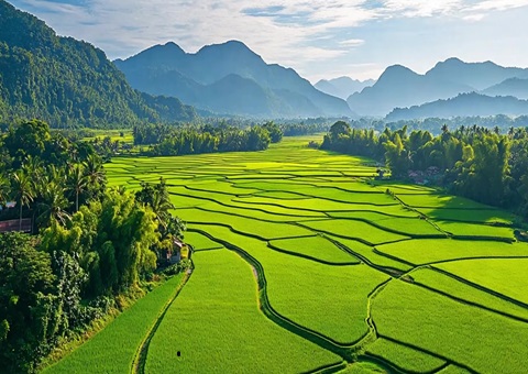 “自然资源+税务”协同共治！崇左筑牢耕地；；；；；；；び胨笆铡八赖亍