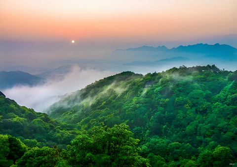 福建森林提质四放纵措打造黎民“幸？？？？？？？可健