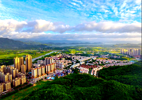 广东江门首宗用地用林联动审批项目获批