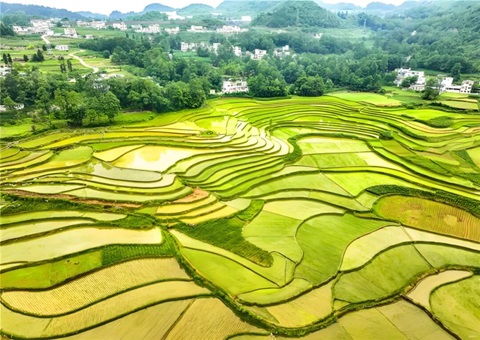 贵州省首份土地供应电子条约乐成签署