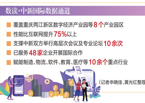 激活重庆开放新动能   中新国际数据通道架起跨境“数字桥梁”