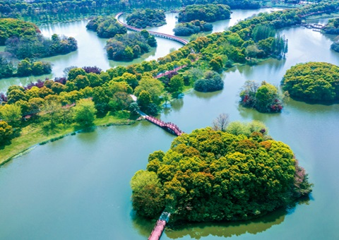 江西省湿地；；；；；；ぢ室汛61.99%