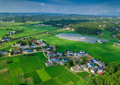 湖南：靶向发力盘活存量土地资产<br>为206家机关企事业单位定制处置惩罚计划，，，，，，，，盘活土地2.6万亩