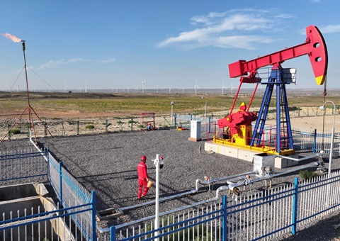 宁夏纵深推进新一轮找矿突破战略行动，，，，，，，实验一批煤层气、页岩气、煤炭等勘查项目