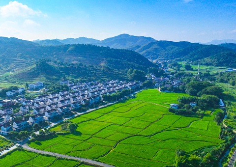 安徽推动构建城乡统一建设用地市场  要素包管多点发力“激活”墟落振兴