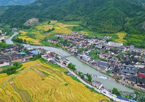 福建加速推动“农地入市”   叫醒农村“甜睡”资产