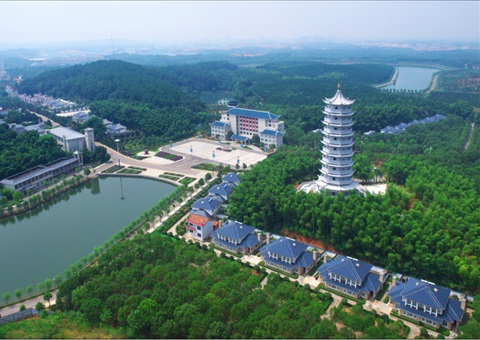 湖北：用好“一张图” ，，，，，，智治有支持