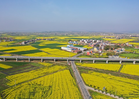 湖北荆门构建“四维联动”模式   打造全域领土综合整治树模样板