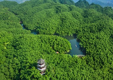 四川宣布林草碳普惠项目要领学    助推生态产品价值变现