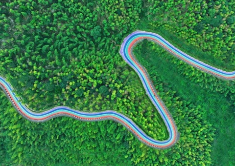 组合供应出新招，，，，，，，竹海收益节节高——桃江县“桃花江竹海”自然资源资产组合供应推动生态产品价值实现案例