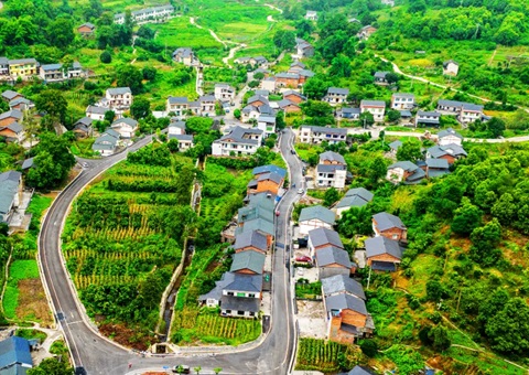 上半年重庆农村整体谋划性总收入突破26.55亿元  村均收入29.13万元